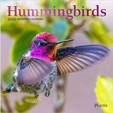 Hummingbirds 2026 Mini Wall Calendar