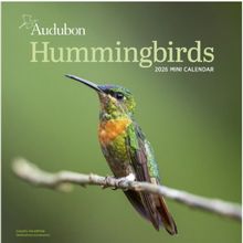 Hummingbirds 2026 Wall Calendar