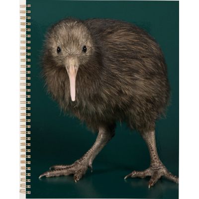 North Island Brown Kiwi Planner