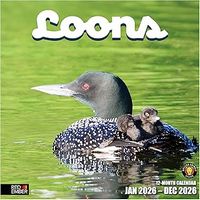 Loons 2026 Wall Calendar