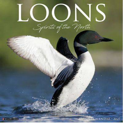 Loons 2027 Wall Calendar