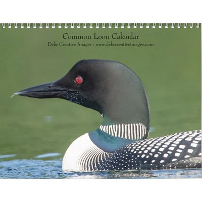 2027 Common Loons | Adirondack Lake Photography Calendar