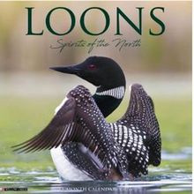 Loons 2026 Wall Calendar