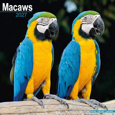 Macaws 2027 Calendar