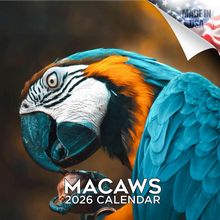 Macaws 2026 Calendar