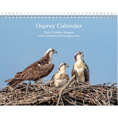 2027 Adirondack Osprey Family | Wildlife Calendar