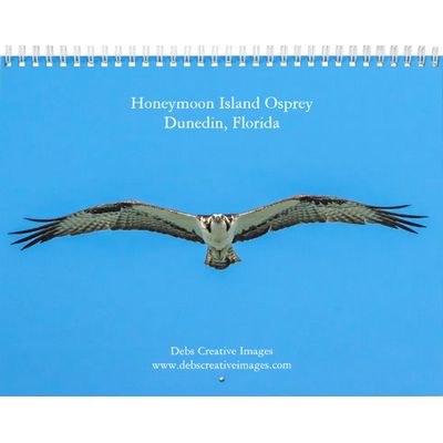 2027 Honeymoon Island Osprey | Florida Wildlife Calendar