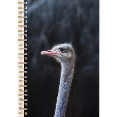 Ostrich Portrait 2027 Planner