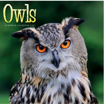 Owls 2027 Calendar