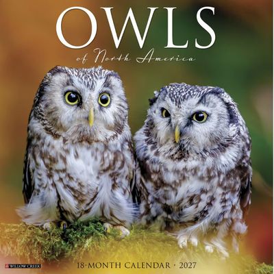 Owls of North America 2027 Calendar
