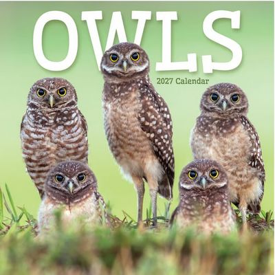 Owls 2027 Wall Calendar