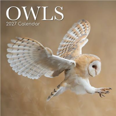 Owls 2027 Wall Calendar