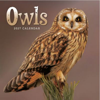 Owls 2027 Mini Wall Calendar