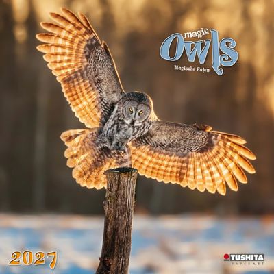 Magic Owls 2027 Wall Calendar