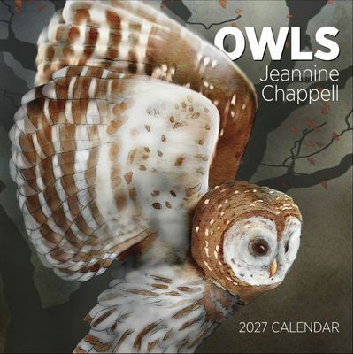 Owls 2027 Wall Calendar by Jeannine Chappel