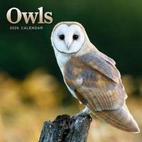 Owls 2026 Calendar