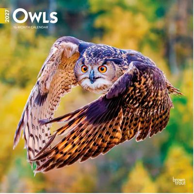 Owls 2027 Wall Calendar
