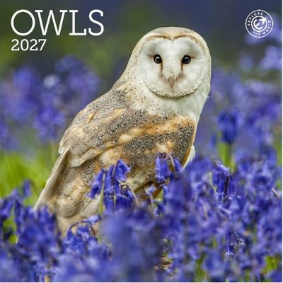 Owls 2027 Mini Wall Calendar