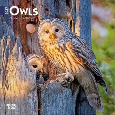 Owls 2027 Mini Wall Calendar