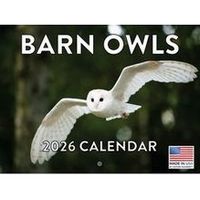 Barn Owls 2026 Calendar