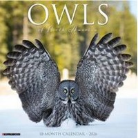 Owls 2026 Wall Calendar