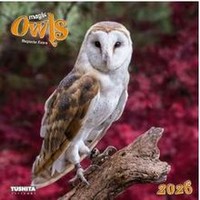 Magic Owls 2026 Wall Calendar