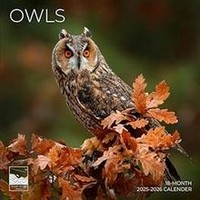 Owls 2026 Calendar