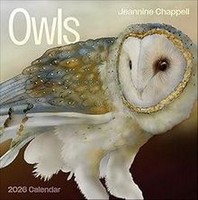 Owls: Jeannine Chappell Art 2026 Calendar