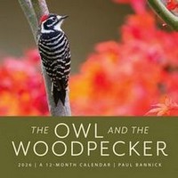 The Owl & the Woodpecker 2026 Calendar