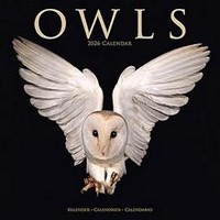 Owls 2026 Calendar