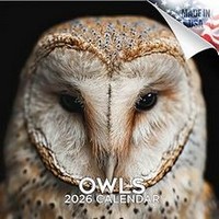 Owls 2026 Calendar