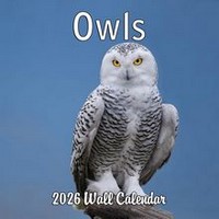 Owls 2026 Calendar