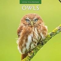 Owls 2026 Calendar