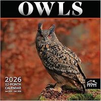 Owls 2026 Calendar