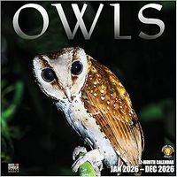 Owls 2026 Calendar
