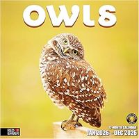 Owls 2026 Calendar