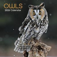 Owls 2026 Calendar