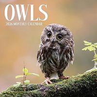 Owls 2026 Calendar