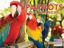 Parrots 2026 Calendar