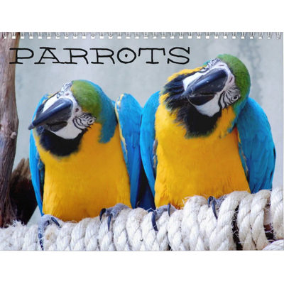 Parrots 2027 Calendar
