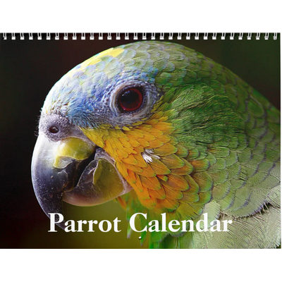 Parrots 2027 Calendar