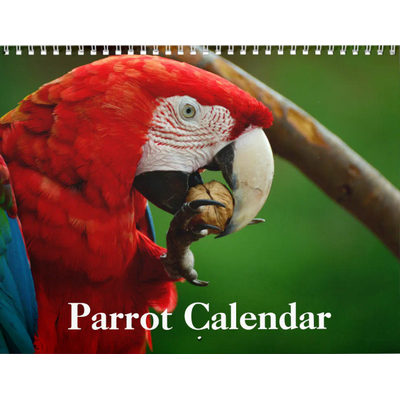 Parrots 2027 Calendar