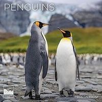 Baby Animals 2026 Calendar