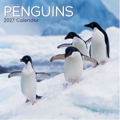 Penguins 2027 Calendar
