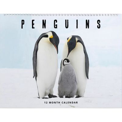 Penguins 2027 Wall Calendar