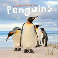 Penguins 2026 Wall Calendar
