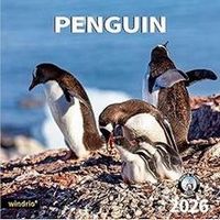Penguin 2026 Calendar