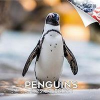 Penguins 2026 Calendar