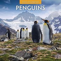 Penguins 2026 Calendar
