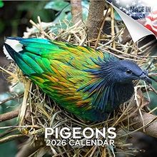 Pigeons 2026 Calendar